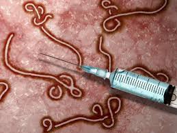 100 Percent Effective Ebola Vaccine Pass Trials