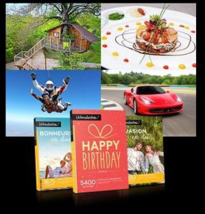 Wonderbox: case study of a successful start-up company on a nascent market Wonderbox: case study of a successful start-up company on a nascent market