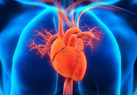 U.S. Pharma Companies Developing 200 New Medicines For Cardiovascular Diseases: PhRMA Report U.S. Pharma Companies Developing 200 New Medicines For Cardiovascular Diseases: PhRMA Report
