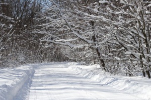 Wacky Weather Causes ‘Split In The Polar Vortex’
