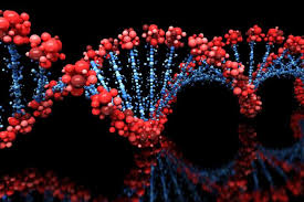Over 500 Genes Impacting Intelligence Identified By Scientists