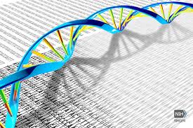 DNA Sequencing Project Proposed For All Complex Life Forms On Earth By An Int’l Team