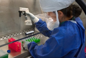 GSK Is Parting With Its ‘Rare Disease Gene Therapy’ Unit Instead
