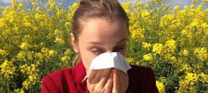 Nearly $2 Billion A Year Loss Of Business In Japan Because Of Pollen