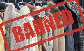 Parliamentary Committee Report Urges Public Consultation For Banning Fur In UK Parliamentary Committee Report Urges Public Consultation For Banning Fur In UK