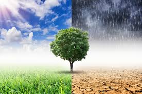 New Stricter EU Climate Targets Criticised By German Auto Industry New Stricter EU Climate Targets Criticised By German Auto Industry