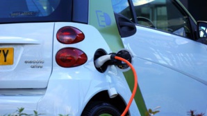 South America Adheres To Old Ways Over EV Revolution: Auto Industry Views