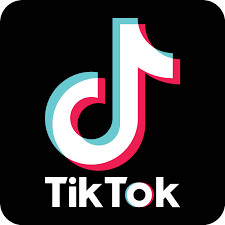 Indian Ban On TikTok Resulting In $500,000 Daily Loss, Says China's Bytedance: Reuters