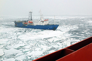 Source: www.flickr.com; (CC BY 2.0)
