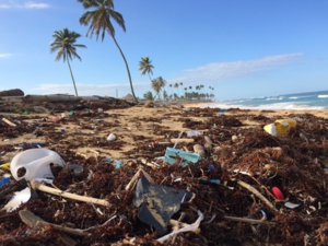 In A Lifetime We Could Accumulate 20Kg Micro-Plastic In Our Body