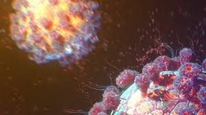 Coronavirus Related Curbs In Italy Could Hit Its Already Weak Economy Hard Coronavirus Related Curbs In Italy Could Hit Its Already Weak Economy Hard
