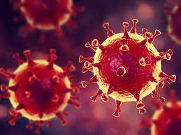 Calls To Trump To Cut China Tariffs Due To Economic Impact Of Coronavirus On US Businesses Calls To Trump To Cut China Tariffs Due To Economic Impact Of Coronavirus On US Businesses