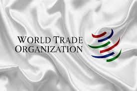 EU Trade Commissioner Hogan Could Put Himself Up As Candidate Of WTO Chief