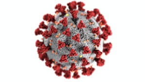 Severe COVID-19 Risk Lies More In People With Type A Blood Say European Researchers