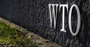 US Attempt To Block Appointment Of Nigerian Woman To Head The WTO