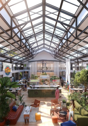 MoHo: A Collective Place to Change the World! MoHo: A Collective Place to Change the World!