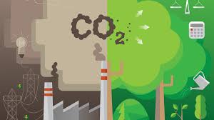 Carbon Footprint Increases By Leaving Camera On During Video Calls, Streaming Videos In HD: New Study Carbon Footprint Increases By Leaving Camera On During Video Calls, Streaming Videos In HD: New Study