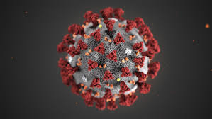 Detection Of New Virus Strain In New Zealand, Australia Suspends Travel Bubble