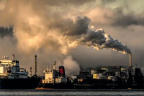 BlackRock C.E.O Push Companies Towards Net Zero Transition