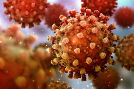Two Theories Of Coronavirus Origin Acknowledged By US Intelligence Community Two Theories Of Coronavirus Origin Acknowledged By US Intelligence Community