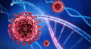 Record Breaking Covid-19 Cases In Europe, Focus On Expanding Booster Shot Record Breaking Covid-19 Cases In Europe, Focus On Expanding Booster Shot