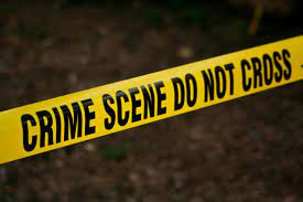 US Retail Stores Ravaged By 'Flash Mob' Thieves On Black Friday US Retail Stores Ravaged By 'Flash Mob' Thieves On Black Friday