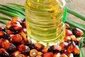 Resumption Of Palm Oil Exports In Indonesia Hampered By Policy Uncertainty