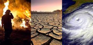 Climate Change Will Cost Farm And Food Investors $150 Billion, According To A Report