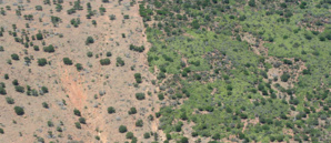 Global Impact and REF join hands to tackle the problems of eco-system restoration Global Impact and REF join hands to tackle the problems of eco-system restoration