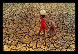 Taking care of our farmers in Africa Taking care of our farmers in Africa