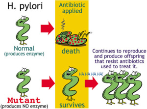 New research sheds light on bacterial resistance to antibiotics. Monsanto’s response - the ostrich act.