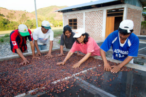 Private companies weave their magic and help farmers connect with their land and the market