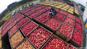 The environmental impact of low cost imports The environmental impact of low cost imports