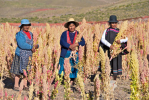 Bolivia’s school meals bolsters the health of its children and its economy