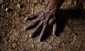 65% of Africa arable land is damaged and of poor quality