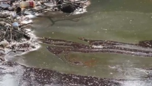 Water a political tool in Mexico Water a political tool in Mexico