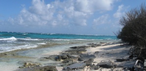 Paris Agreement could determine the fate of the Caribbean Islands Paris Agreement could determine the fate of the Caribbean Islands