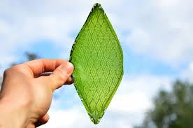 Silk Leaf To Produce Oxygen Artificially Silk Leaf To Produce Oxygen Artificially