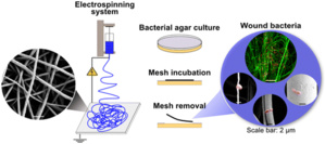 Bacteria Will Not Stand A Chance In Any Wound With The New Bandage Technology