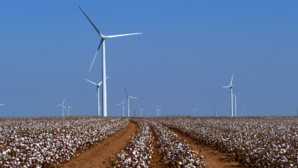 Vicki Dodge Vicki Dodge