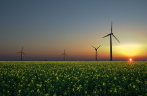 Nine EU Countries Leading in the Field of Renewable Energy