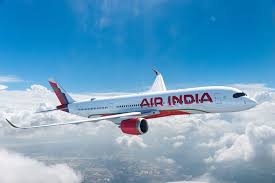 Air India Disaster Revives Calls for Cockpit Video Recorders