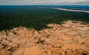 Amazon Gold Laundering Undermines Brazil Crackdown: Greenpeace