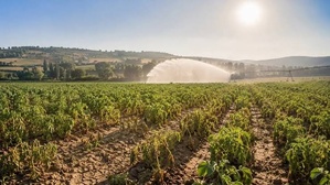 Europe’s Drought Crisis Is Forcing Farms To Adapt to Rising Heat and Water Scarcity
