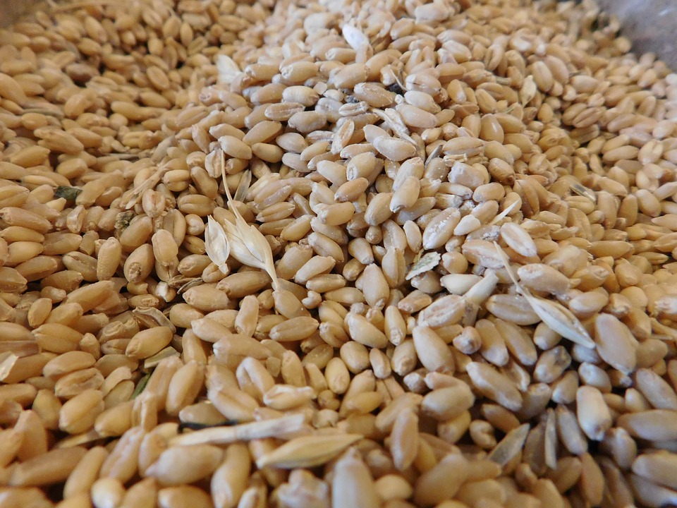 World prices for food rise by 9.1%