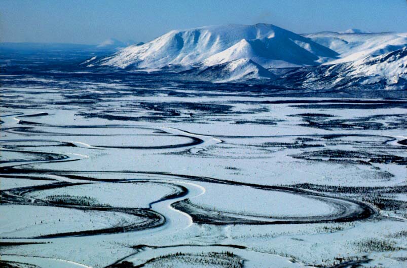 Trump draws a bead on oil in the Arctic Refuge