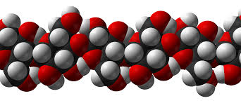 Renewable Fuels And Antibiotic Drugs Can Be Produced In The Future From New Cellulose 