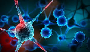 New Molecule That Quickly Fights Cancer Cells Identified By Swedish Scientists