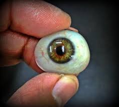 Smart And Adaptive Artificial Eye Developed By Researchers At Harvard