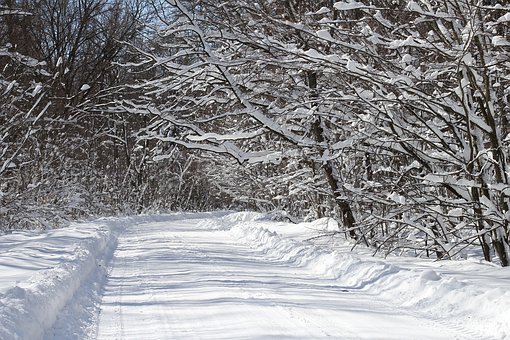 Wacky Weather Causes ‘Split In The Polar Vortex’